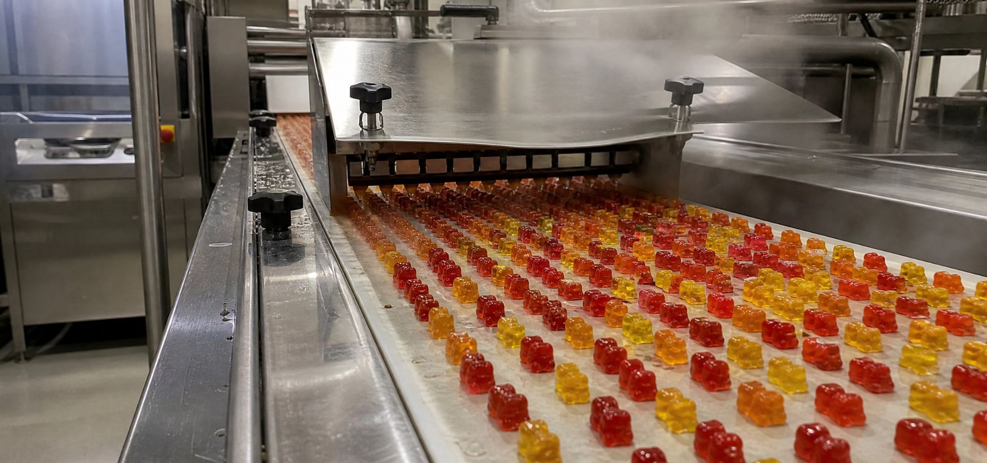 Gummies food color manufacturing guide, gummies food color, gummies